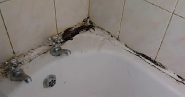 Removing Mould from Tiles